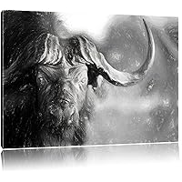 Canvas picture - Cape buffalo with horns - Size: 39.4 x 27.6 inch - fully assembled on a wooden frame