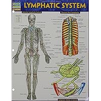 Lymphatic System (Quick Study Academic) Lymphatic System (Quick Study Academic) Paperback Cards