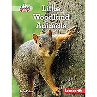 Little Woodland Animals (Let's Look at Animal Habitats (Pull Ahead Readers — Nonfiction)) Little Woodland Animals (Let's Look at Animal Habitats (Pull Ahead Readers — Nonfiction)) Kindle Audible Audiobook Library Binding Paperback