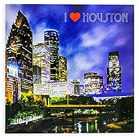 I Love Houston Souvenir Refrigerator Magnet