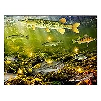 alottagifts Freswater Fish Collection Lighted Canvas Wall Art Print 16