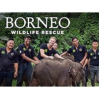 Borneo Wildlife Rescue - Season 1