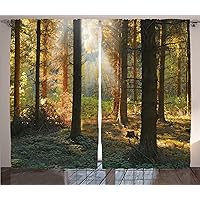 Ambesonne Forest Curtains, Sunset View of Dark Pine Woodland in Autumn Foggy Scene Sunbeams Trunks Shadow, Living Room Bedroom Window Drapes 2 Panel Set, 108