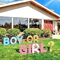 Chinco 10 Pieces Gender Reveal Party Decorations Supplies Baby Shower Plastic Yard Signs Outdoor Letters Lawn with Stakes for Indoor Garden (Boy or Girl)
