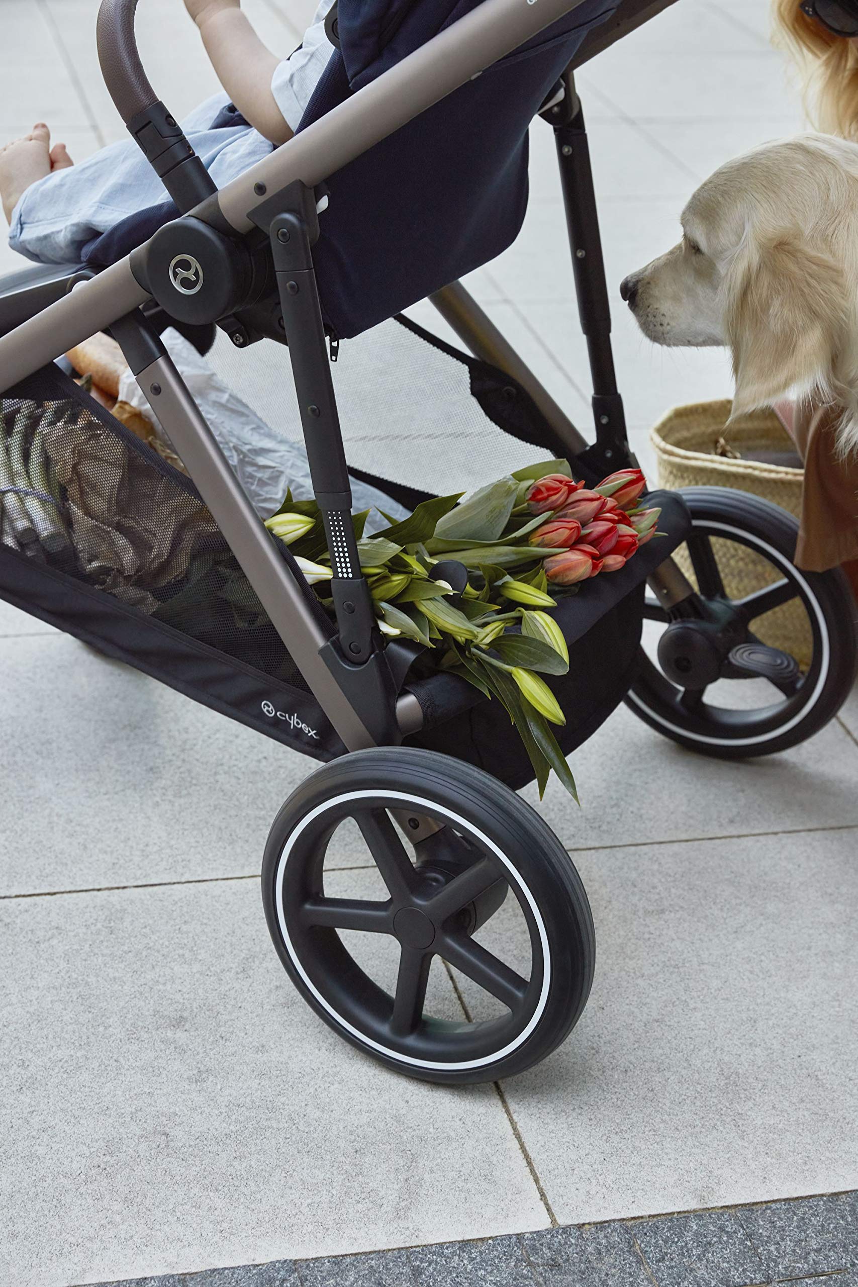 Gazelle S Stroller Modular Double Stroller for Infant and Toddler Includes Detachable Shopping Basket Over 20+ Configurations Folds Flat for Easy Storage