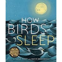 How Birds Sleep How Birds Sleep Hardcover Kindle