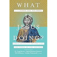 What Is Jesus Doing?: God's Activity in the Life and Work of the Church What Is Jesus Doing?: God's Activity in the Life and Work of the Church Paperback Kindle