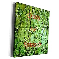 3dRose Image of Bed Of Spinach With Crazy For Spinach On... - Museum Grade Canvas Wrap (cw_310008_1)