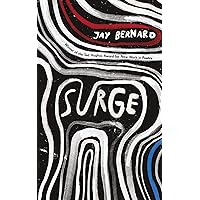 Surge Surge Kindle Audible Audiobook Paperback