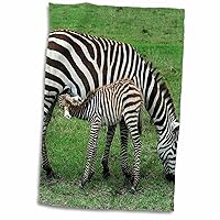 3dRose Common Zebra Breast Feeding mil from The Mother Kenya Africa - Towels (twl-9860-1)