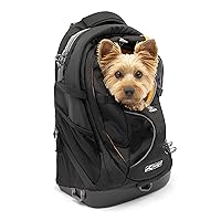 G-Train Pack, Carrier Backpack for Small Dogs and Cats, Ideal for Hiking or Travel, Waterproof Bottom, Black