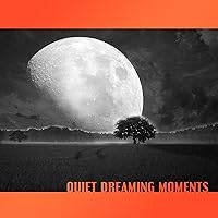 Quiet Dreaming Moments: 50 Music Hypnosis for Better Sleep at Night, Rest & Relaxation, Cure for Insomnia, Regeneration During Sleep Quiet Dreaming Moments: 50 Music Hypnosis for Better Sleep at Night, Rest & Relaxation, Cure for Insomnia, Regeneration During Sleep MP3 Music