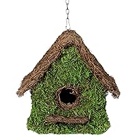 SuperMoss (56012) Maison Birdhouse with Chain, 11 by 12-Inch, Fresh Green