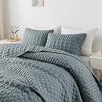 Blue Twin Quit Size Bedding Sets with 1 Pillow Sham, Lightweight Soft Bedspread Coverlet, Quilted Blanket Thin Comforter Bed Cover for All Season, 2 Pieces, 68x90 inches