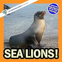 Sea Lions!: A My Incredible World Picture Book for Children (My Incredible World: Nature and Animal Picture Books for Children)