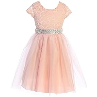 Flower Girl Dress Rhinestone Belt Tulle Lace Formal Casual Party Holiday
