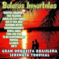 Boleros Inmortales Boleros Inmortales MP3 Music