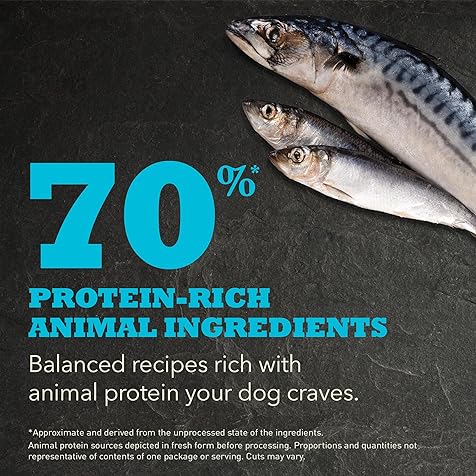 Highest Protein Dry Dog Food, Wild Atlantic, Fish Recipe, 25lb