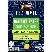 TeaWell Herbal Tea, Daily Wellness, Organic Ginger Mint, 12 Count (Packaging May Vary)