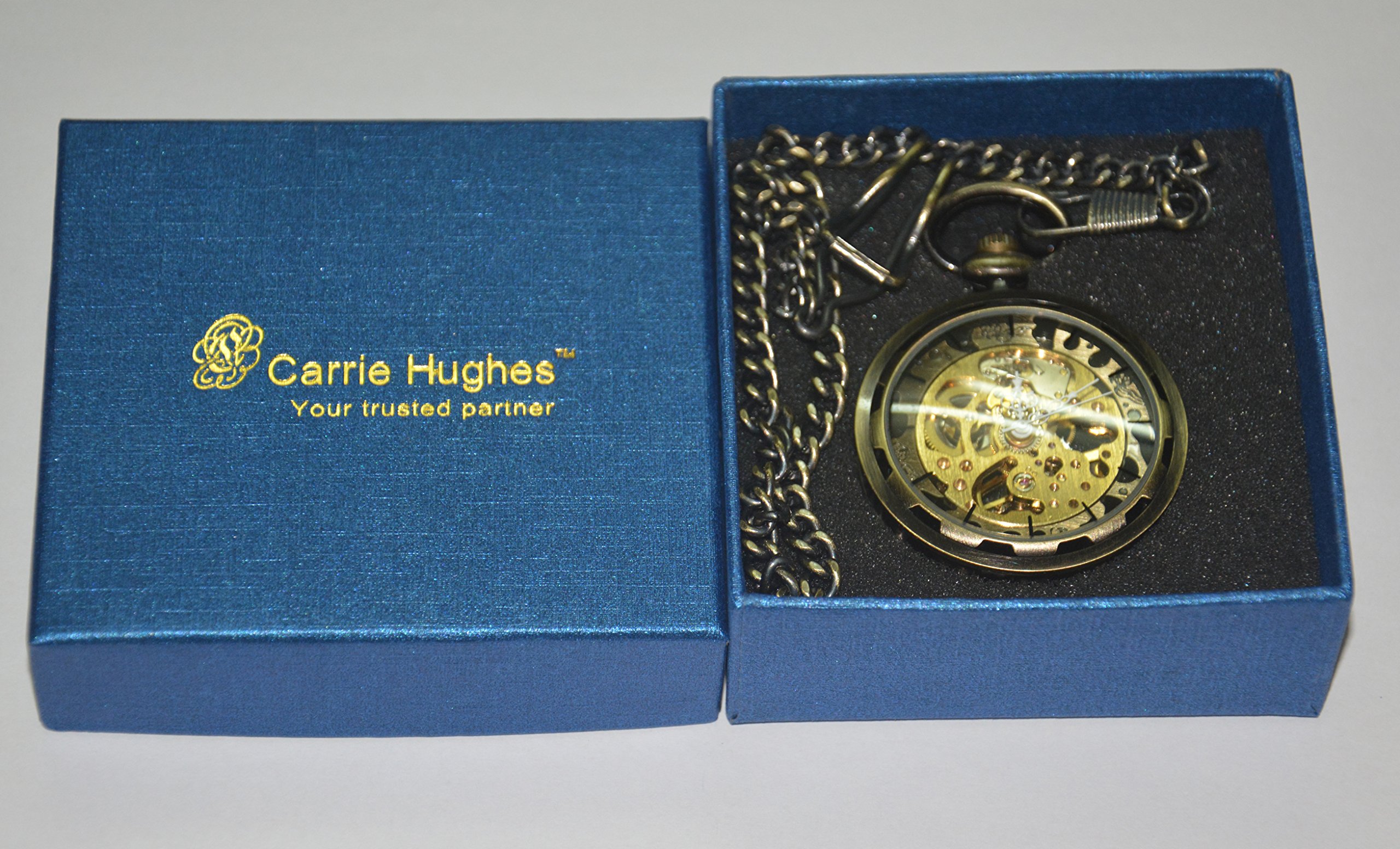 Carrie Hughes Vintage Steampunk Skeleton Mechanical Pocket Watch with Chain in Box for Mens Womens CH397 (CH397)