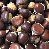 Chestnuts - fresh in the shell - 2 pounds 32 Ounces