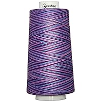 Signature 49S-F155 Cotton Quilting Thread, 3000 yd, Variegated Pansy Patch
