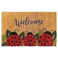 Red Handloom Woven & Printed Ladybug Coir Doormat, 18
