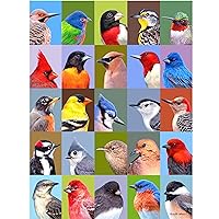 1000 Piece Puzzle, Backyard Bird Friends Collage, Jigsaw Puzzle for Adults and Kids