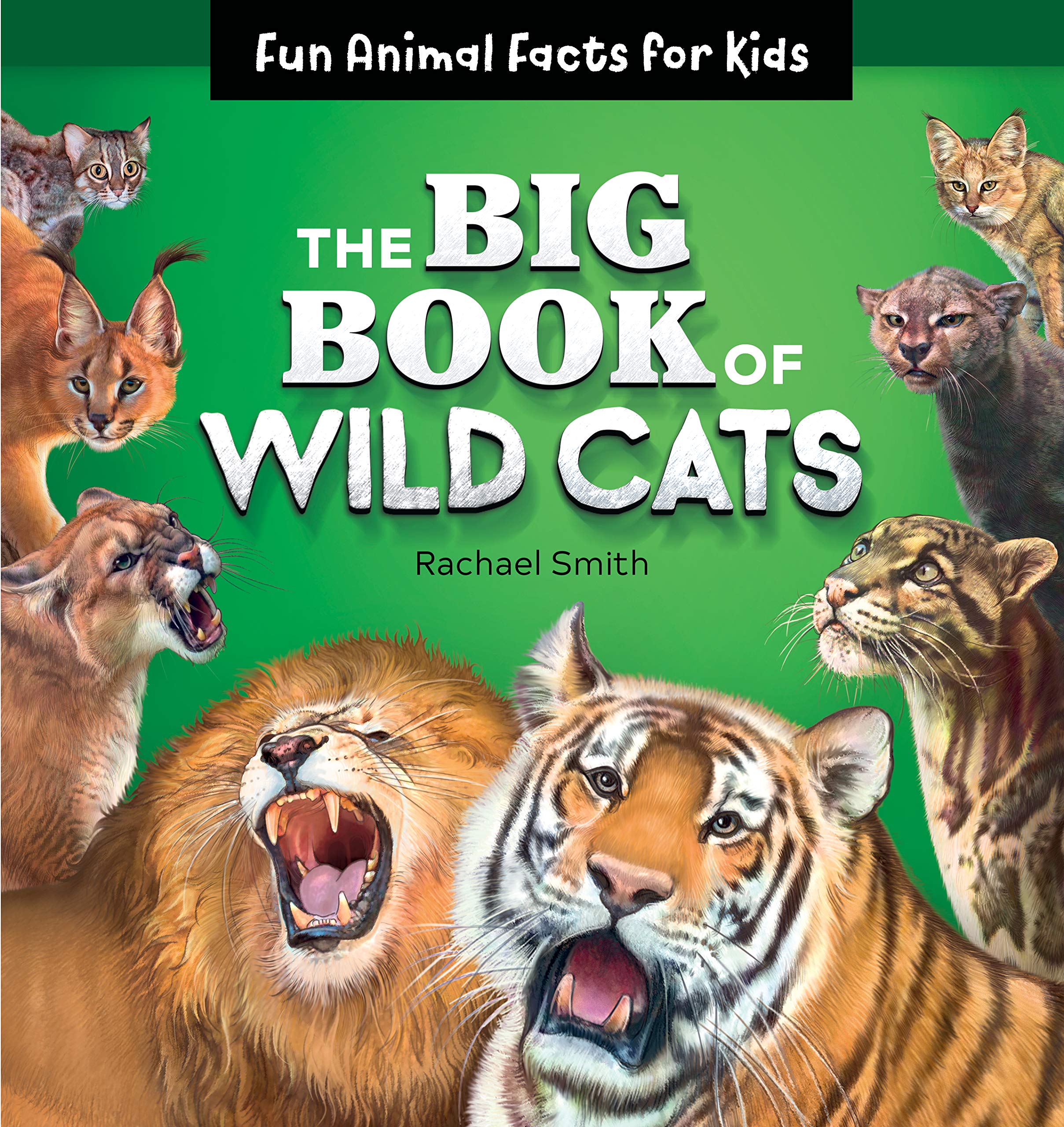 Mua The Big Book of Wild Cats: Fun Animal Facts for Kids trên Amazon Mỹ  chính hãng 2023 | Fado