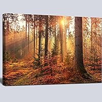 msspart Mystery Forest Light Wall Art, Nature Landscape Pictures Canvas Prints Wall Decor, Autumn Trees Paintings Hang for Office Bedroom, Bathroom, Living Room for Home Decoration - 24”x36”