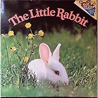The Little Rabbit The Little Rabbit Paperback Kindle Board book Library Binding