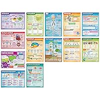 Daydream Education Biology Science Posters - Set of 13 - Gloss Paper - LARGE FORMAT 33