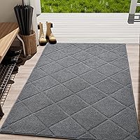 LOCHAS Grey Indoor Door Mat 35x59 Inch, Rubber Backing, Washable Absorbent Chenille Doormat, Low-Profile, Non Slip Microfiber Entrance Mat, Quick Dry Resist Dirt Front Welcome Mats for Entryway Home