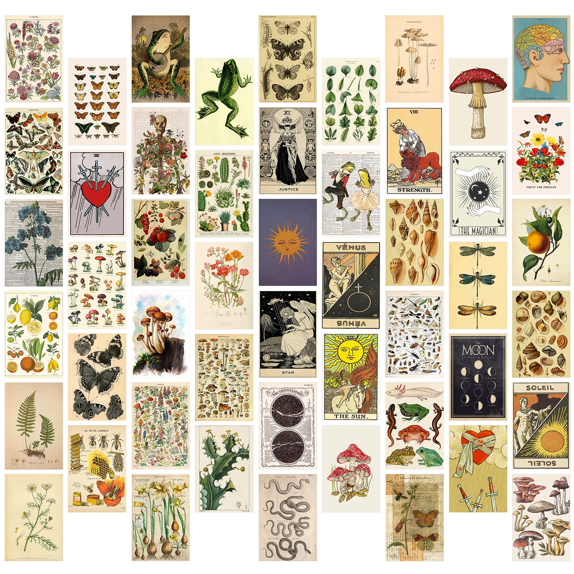 Mua Pack of 50 Vintage Botanical Wall Collage Kit, Aesthetic Image ...