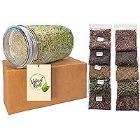 Variety Pack Sprouting Seeds Set with Jar Non-GMO. Pack of 10 premeasured Seeds for 32oz Jars or 8 inch Tray. Includes 2 Packs of: Broccoli, Alfalfa, Radish, Mung Beans & Salad Mix