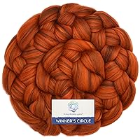 Winner's Circle Superfine Merino Fiber for Spinning & Felting. Super Soft Combed top roving in Stunning Color Blends, Autumn Spice