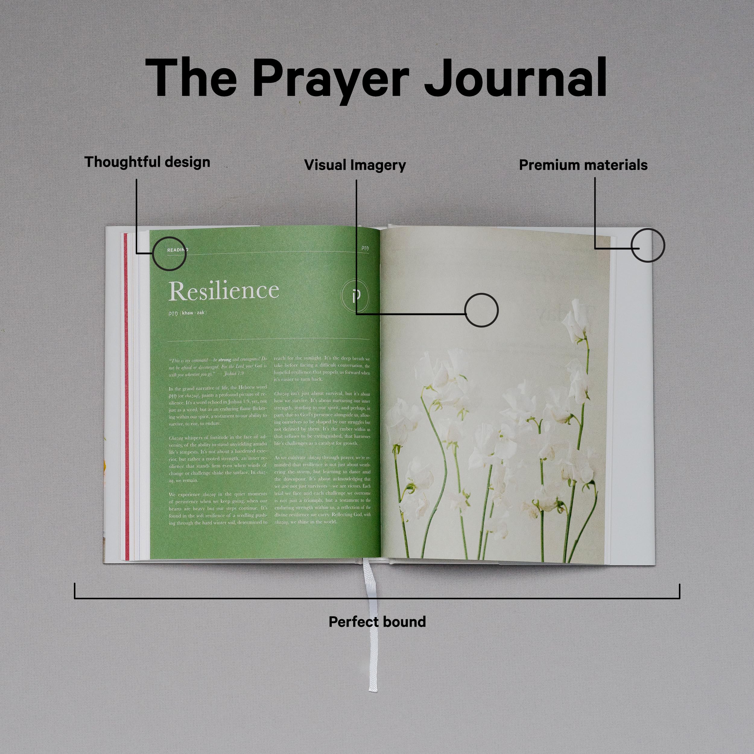 The Prayer Journal: A Creative Guide to Bible-Inspired Living with Devotional Reflections