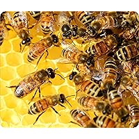 Mouse Pad Honey Bee Swarm Royal Jelly Apiarist Hive Nest 1/8 Thick Fabric Topped Rubber Back Customizable by TYD Designs