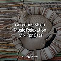 Gorgeous Sleep Music Relaxation Mix For Cats Gorgeous Sleep Music Relaxation Mix For Cats MP3 Music