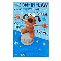 Cute Funny Son-In-Law Birthday Greeting Card Crackers Range Cards New
