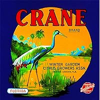 A SLICE IN TIME Winter Garden, Florida Crane Bird Orange Citrus Fruit Crate Box Label Art Print