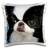 3D Rose pc_4242_1 Japanese Chin-Pillow Case, 16