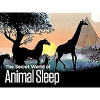 The Secret World of Animal Sleep - Season 1