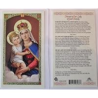 NOVENA TO OUR LADY OF GOOD REMEDY* Laminated 2-Sided Holy Card (3 Cards per Order)