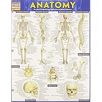 QuickStudy Bar Charts Anatomy Study Guide Med/Health