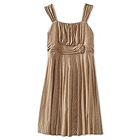 Amy Byer Big Girls' Plus-Size Allover Glitter Knit Pleated Dress