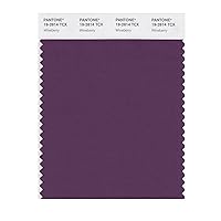 Smart 19-2814X Color Swatch Card, Wineberry