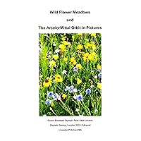 Wild Flower Meadows and the ArcelorMittal Orbit in Pictures (Photo Albums Book 18) (Afrikaans Edition) Wild Flower Meadows and the ArcelorMittal Orbit in Pictures (Photo Albums Book 18) (Afrikaans Edition) Kindle Paperback
