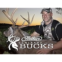 Dominant Bucks - Season 8