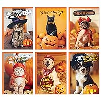 Hallmark Halloween Cards Assortment, Pet Puns (48 Cards with Envelopes)